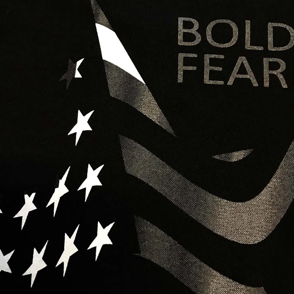 Bold and Fearless USA Flag Stars and Stripes Adult Short-Sleeve Shirts (BRAND NEW)